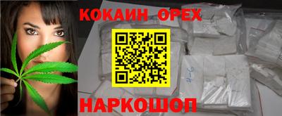 гашик Гусев