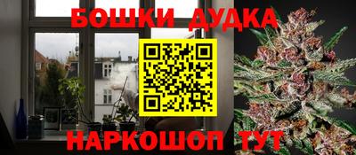 гашик Гусев