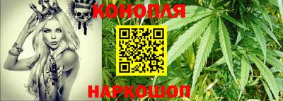 гашик Гусев