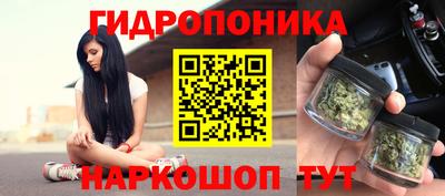 гашик Гусев